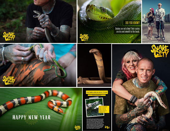 Collage of photos from TV show Snake City